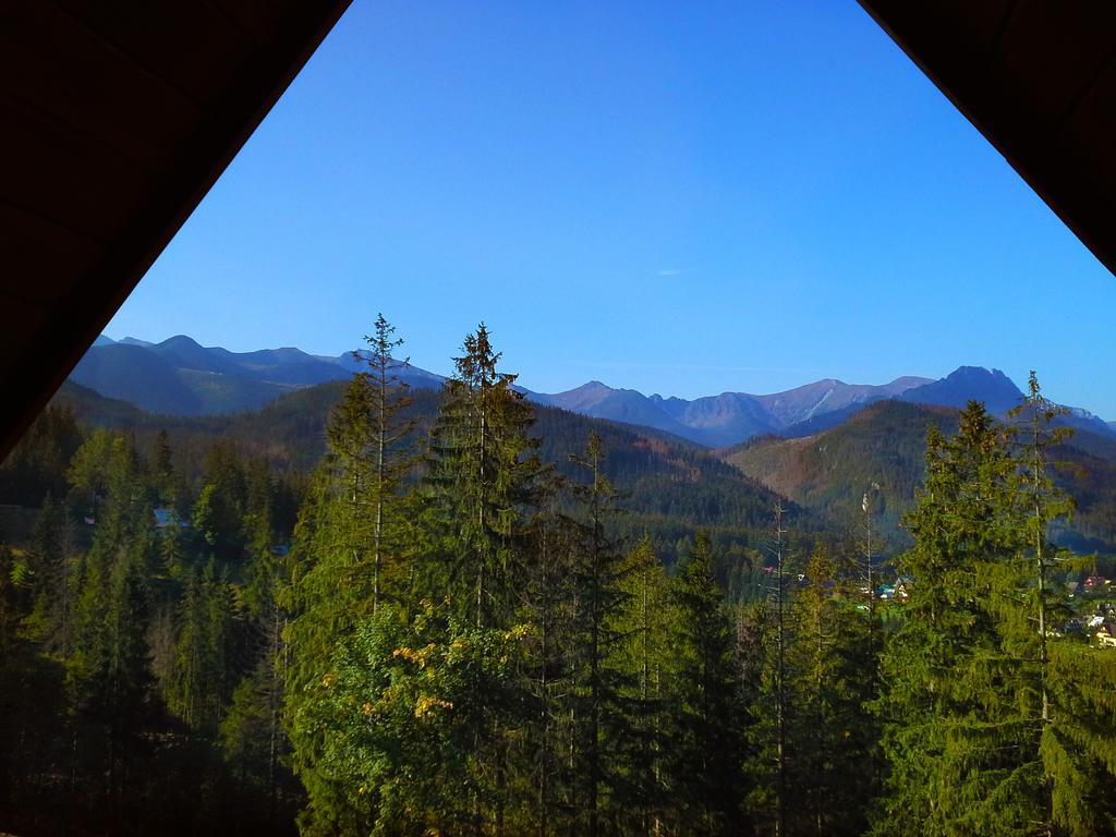 Kominkowy Zakopane Exteriör bild